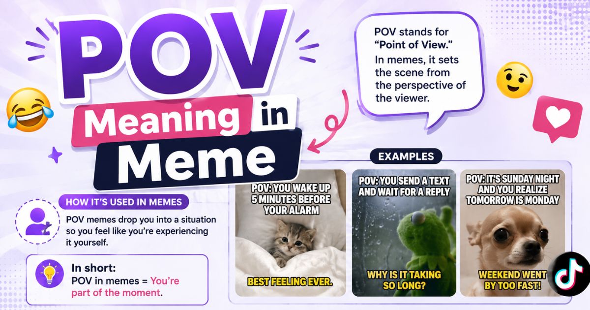 POV Meaning in Meme