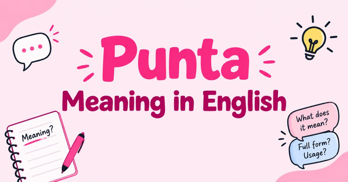 Punta Meaning in English