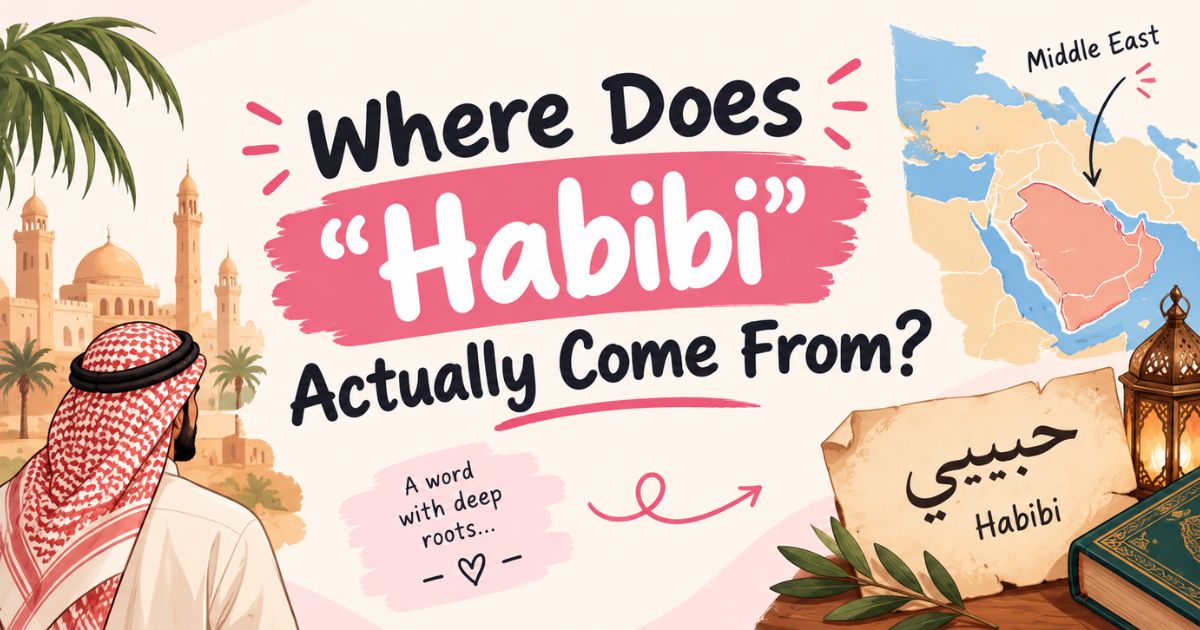 Where Does Habibi Actually Come From