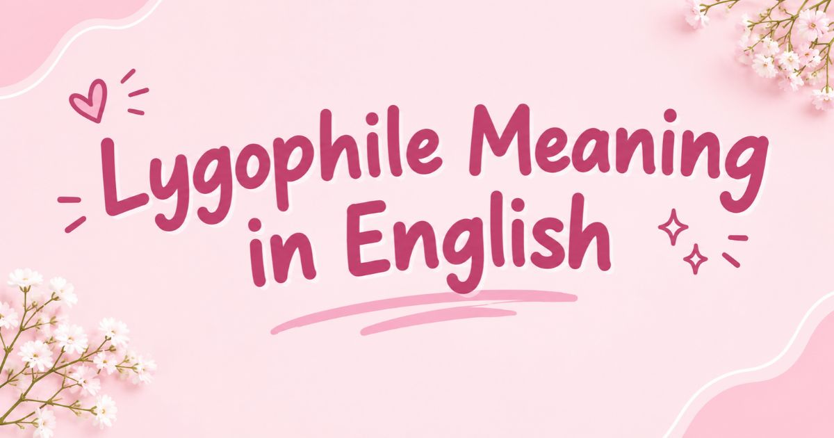 Lygophile Meaning in English