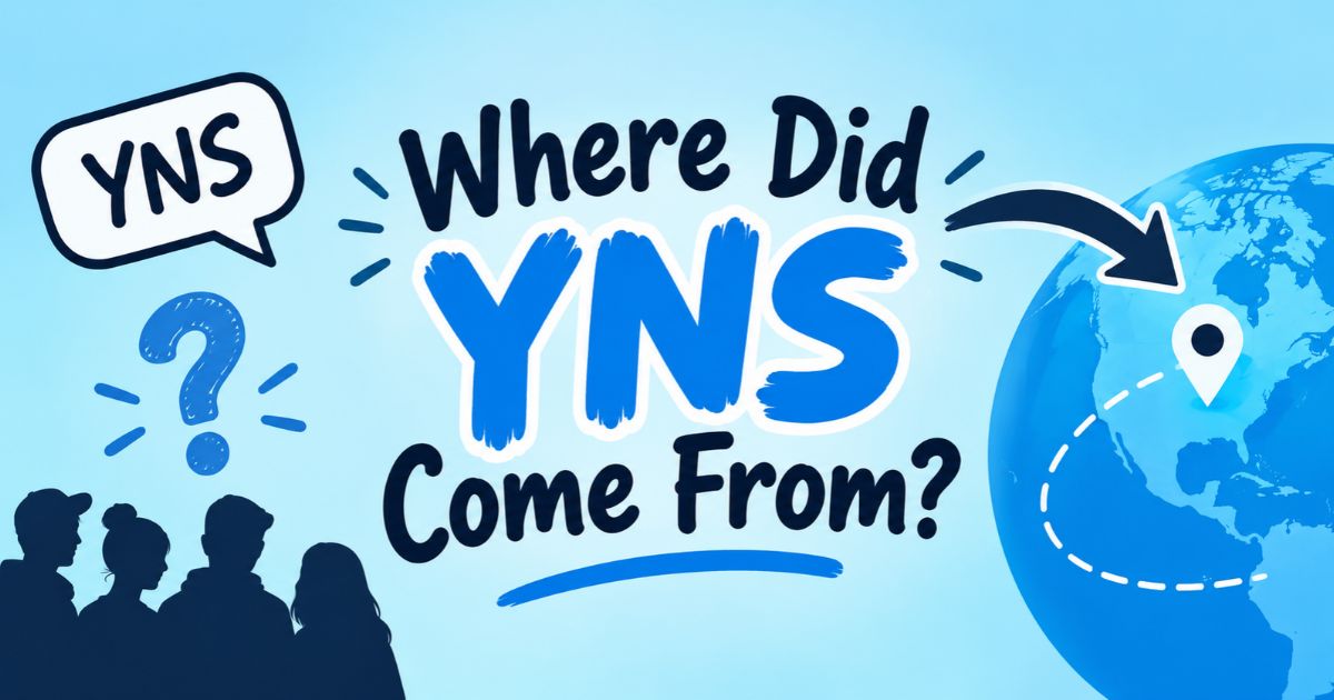 Where Did YNS Come From