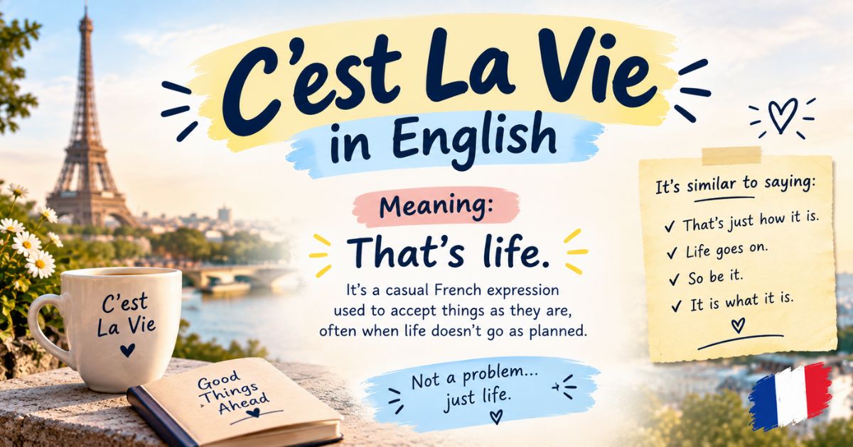 cest la vie in english